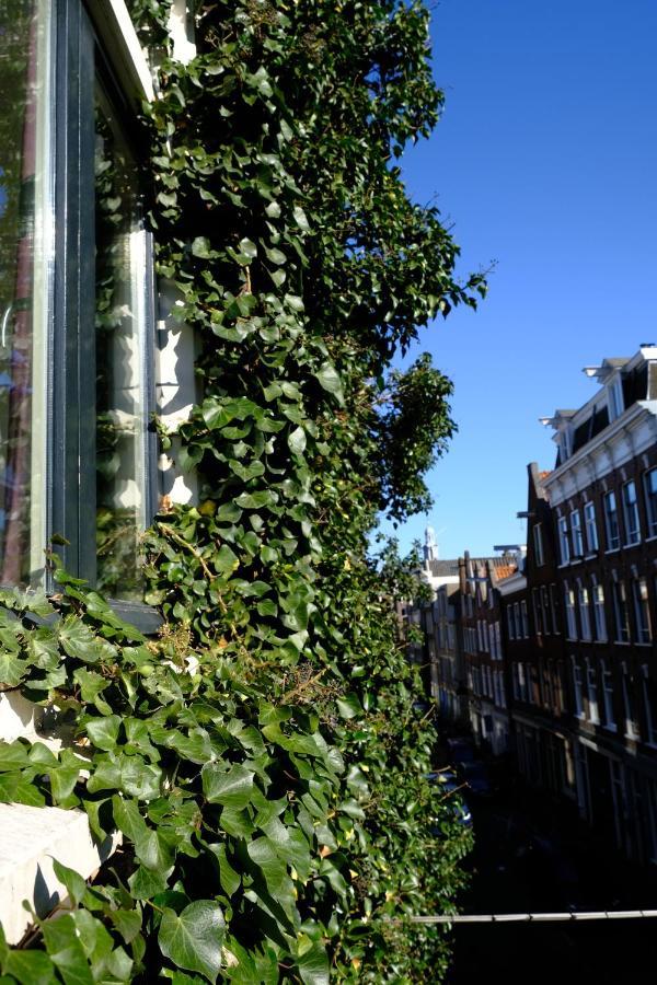 Studio Eelhouse Amsterdam Zewnętrze zdjęcie